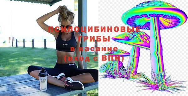 стаф Алексеевка