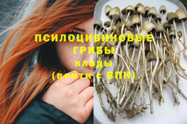 стаф Алексеевка