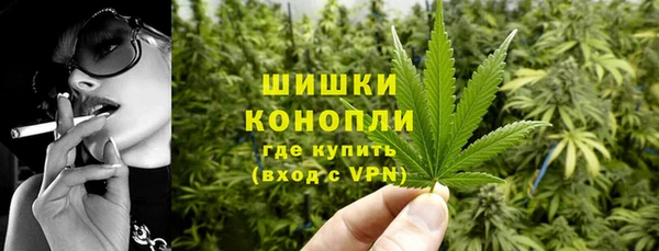 мяу мяу кристалл Переславль-Залесский